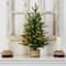 2ft. Pre-Lit Artificial Christmas Tree in Decorative Basket, Clear LED Lights
